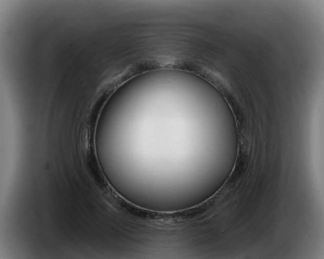 X0000086300740200704201942