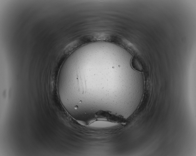 X0000086300741200704201942