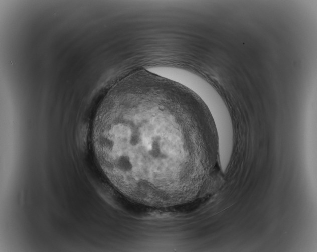 X0000086300742200704201942