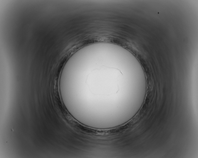 X0000086300744200704201942