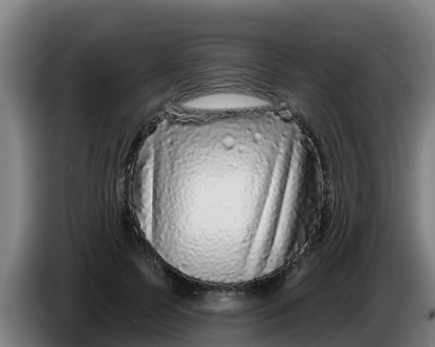 X0000086300745200704201942