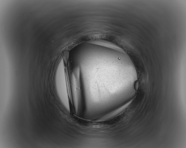 X0000086300746200704201942