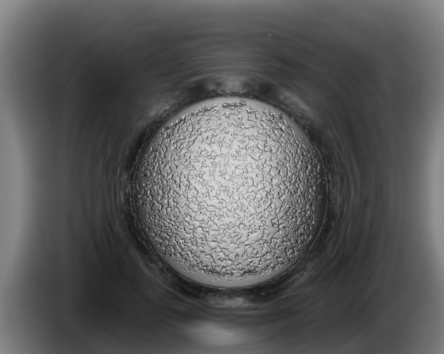 X0000086300747200704201942