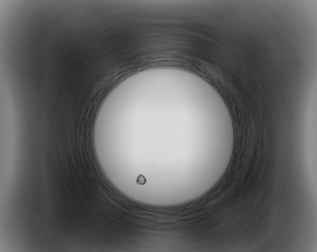 X0000086300748200704201942