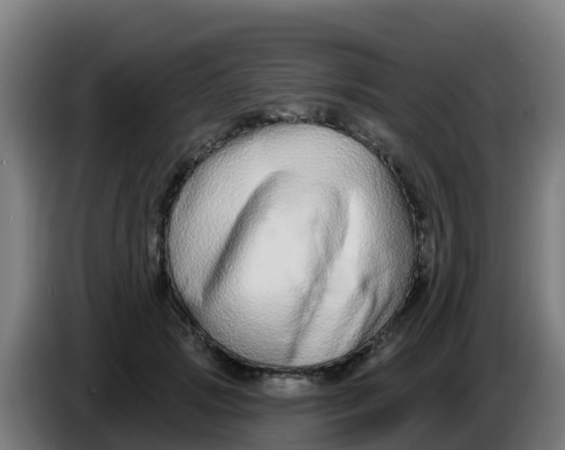 X0000086300749200704201942