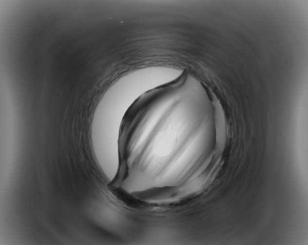 X0000086300750200704201942