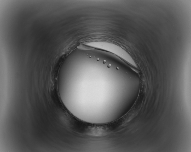 X0000086300751200704201942