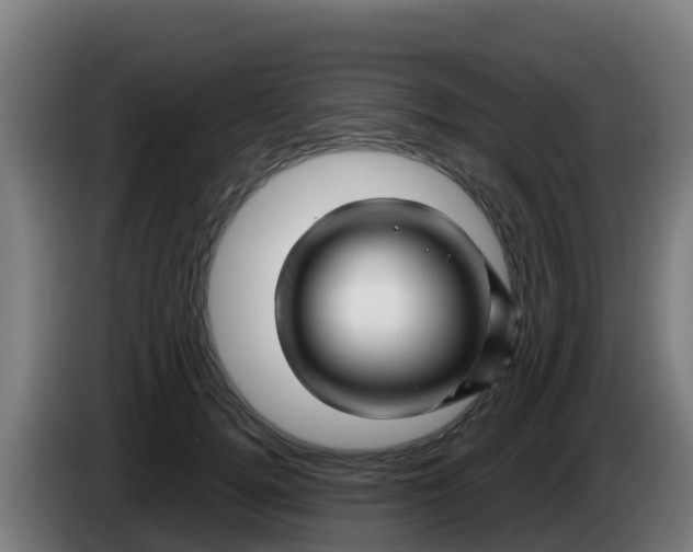 X0000086300752200704201942