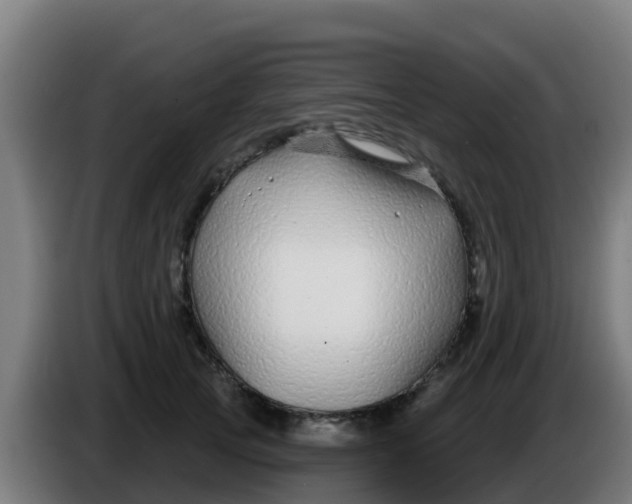 X0000086300753200704201942