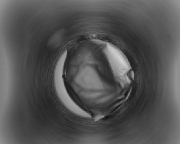 X0000086300754200704201942