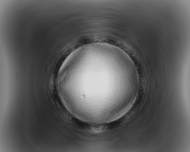 X0000086300757200704201942