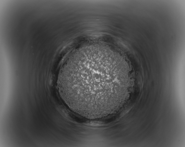 X0000086300758200704201942