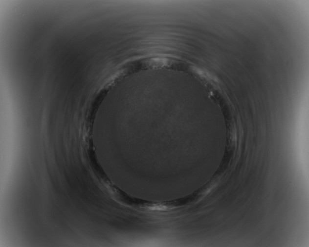 X0000086300759200704201942