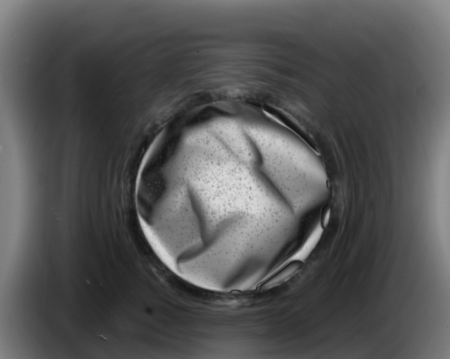 X0000086300760200704201942