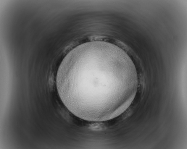 X0000086300761200704201942