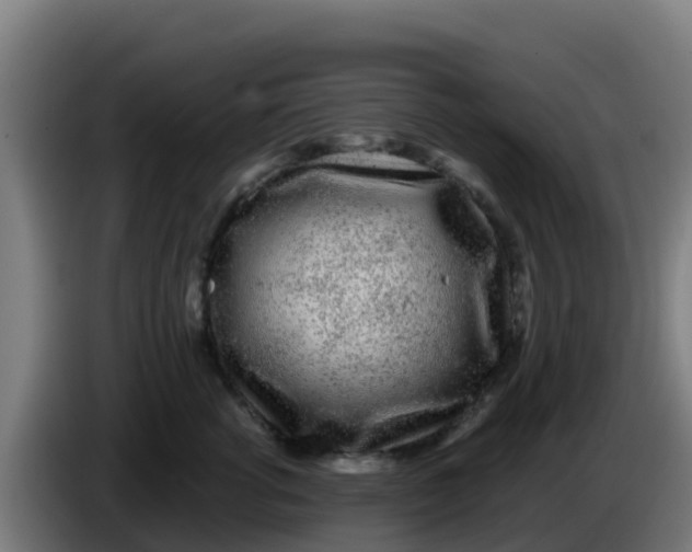 X0000086300762200704201942