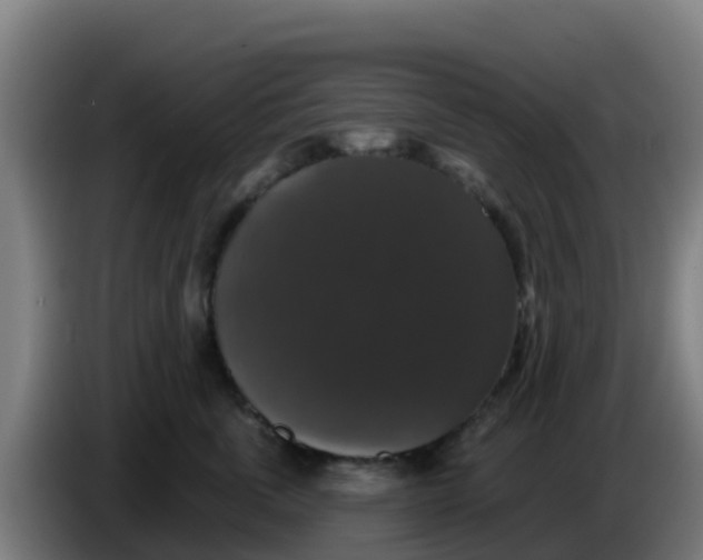 X0000086300763200704201942