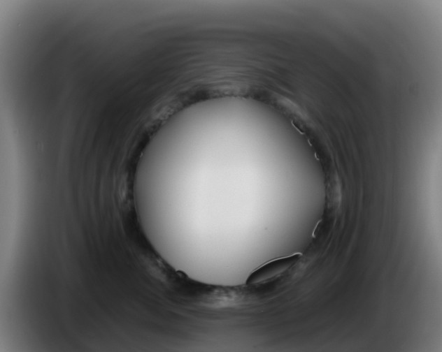 X0000086300764200704201942