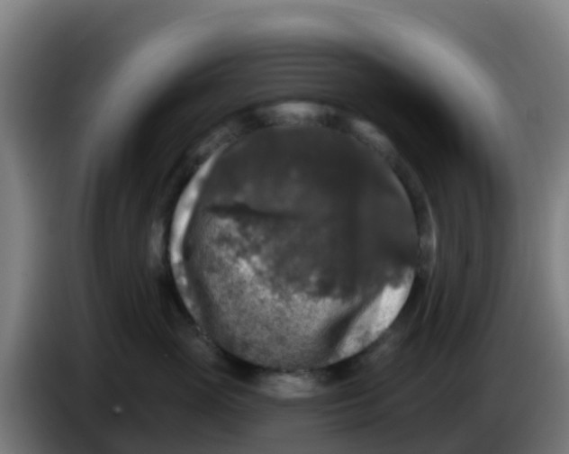 X0000086300765200704201942