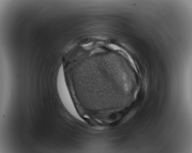 X0000086300766200704201942