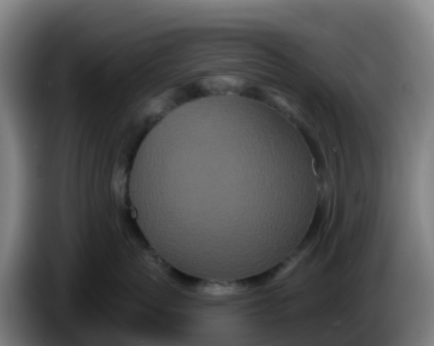 X0000086300767200704201942