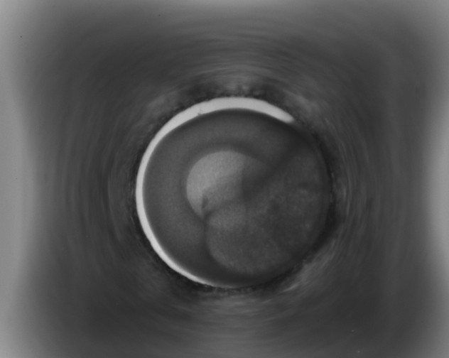 X0000086300769200704201942