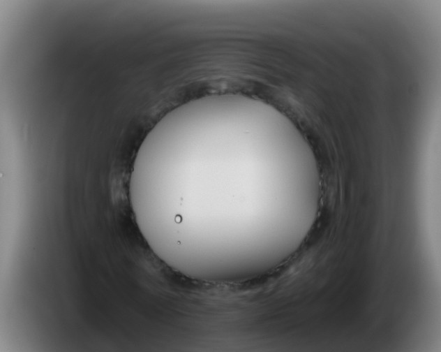 X0000086300770200704201942