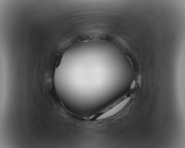 X0000086300771200704201942