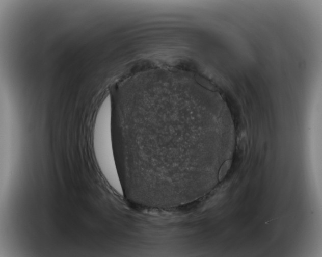 X0000086300772200704201942