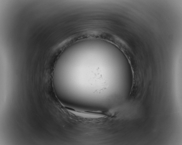 X0000086300773200704201942