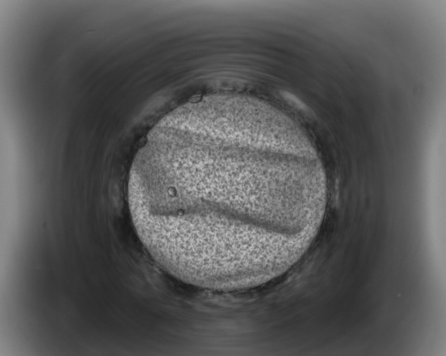 X0000086300774200704201942