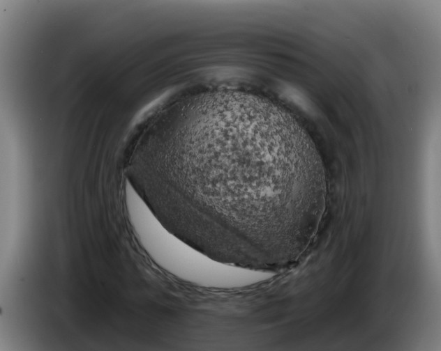 X0000086300775200704201942