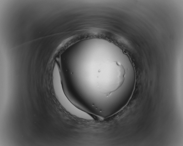 X0000086300776200704201942