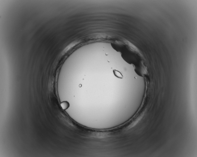 X0000086300778200704201942