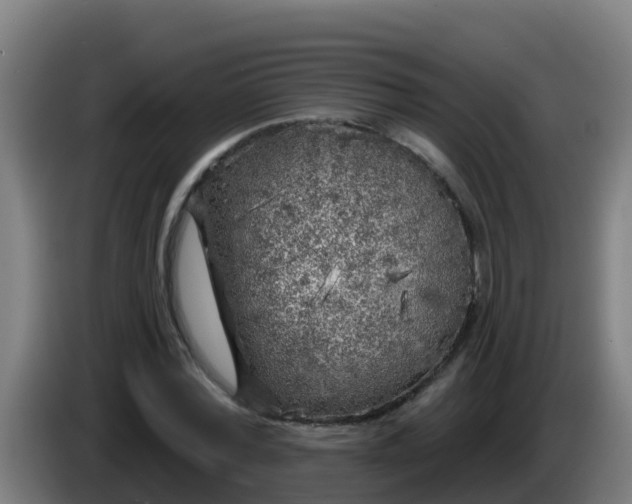 X0000086300780200704201941