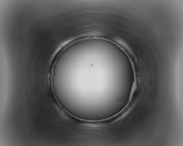 X0000086300781200704201941