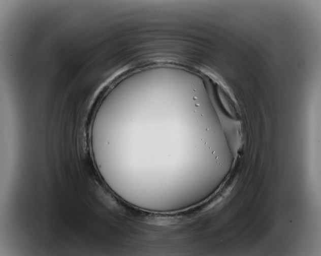 X0000086300782200704201941