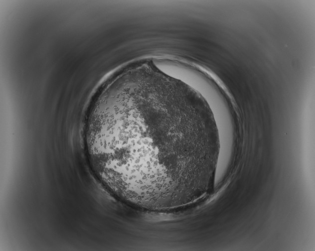 X0000086300783200704201941