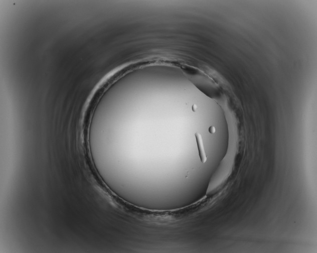 X0000086300784200704201941