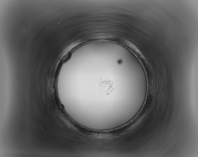 X0000086300786200704201941