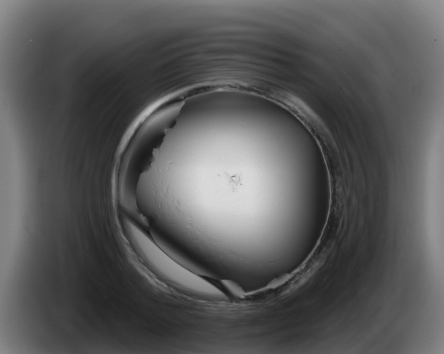 X0000086300788200704201941