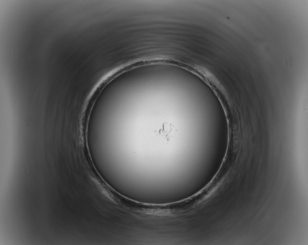 X0000086300789200704201941