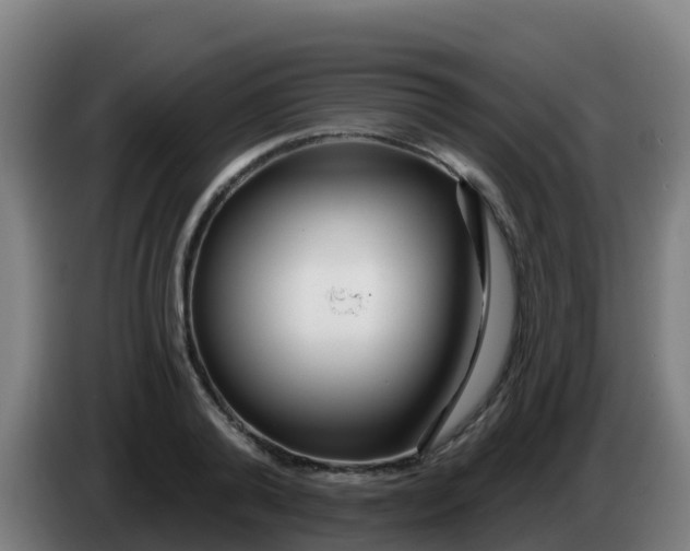 X0000086300792200704201941