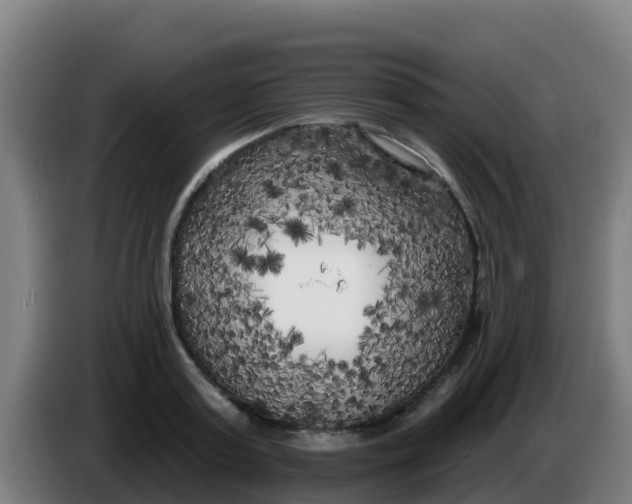 X0000086300795200704201941