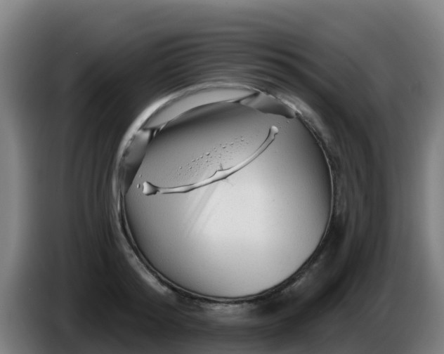 X0000086300796200704201941