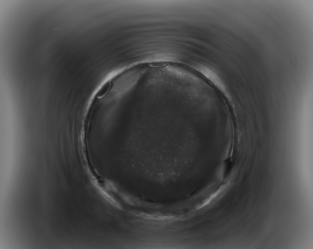 X0000086300797200704201941