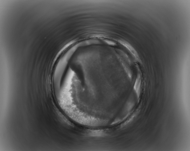 X0000086300798200704201941