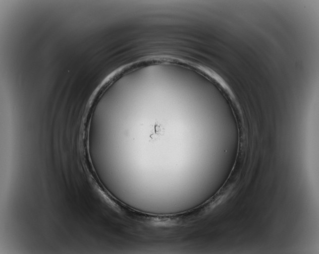 X0000086300799200704201941