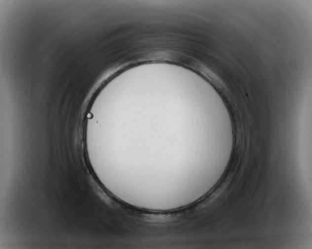 X0000086300800200704201941