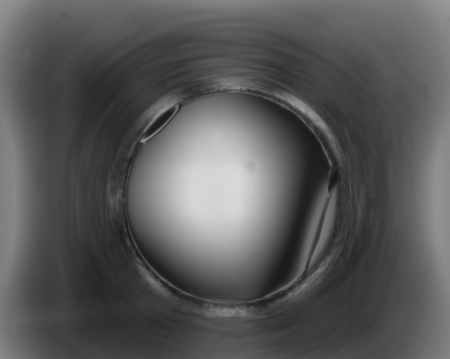 X0000086300801200704201941